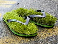 show grass